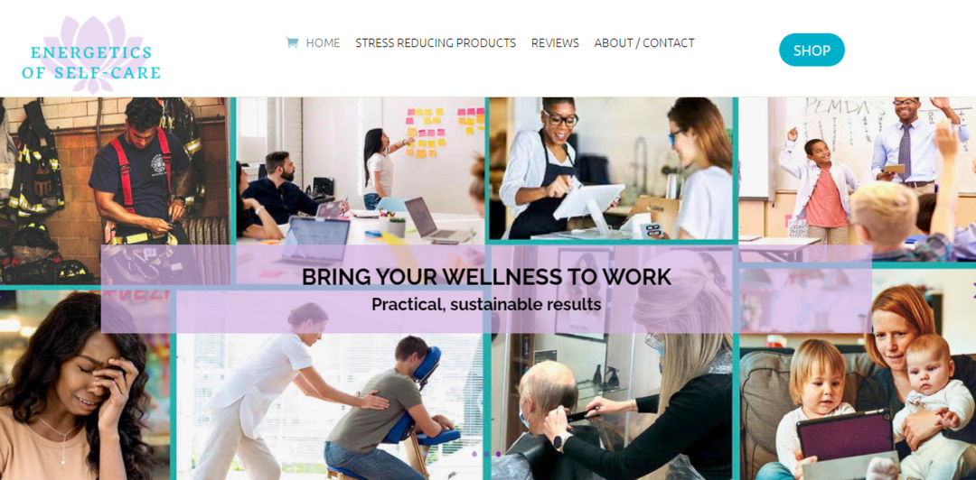West Los angeles website homepage design for a medical professional