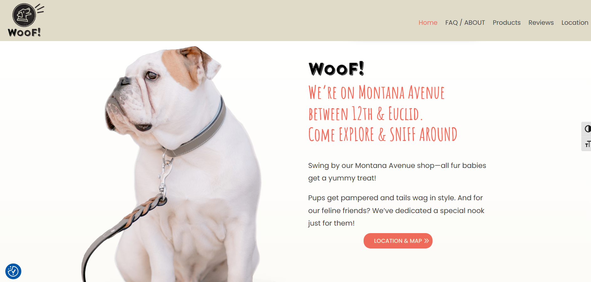 pet store web site built in WordPress, screenshot of hero image onthe homepage