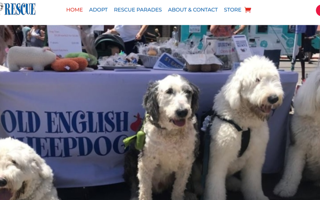 Dog rescue website design Venice CA
