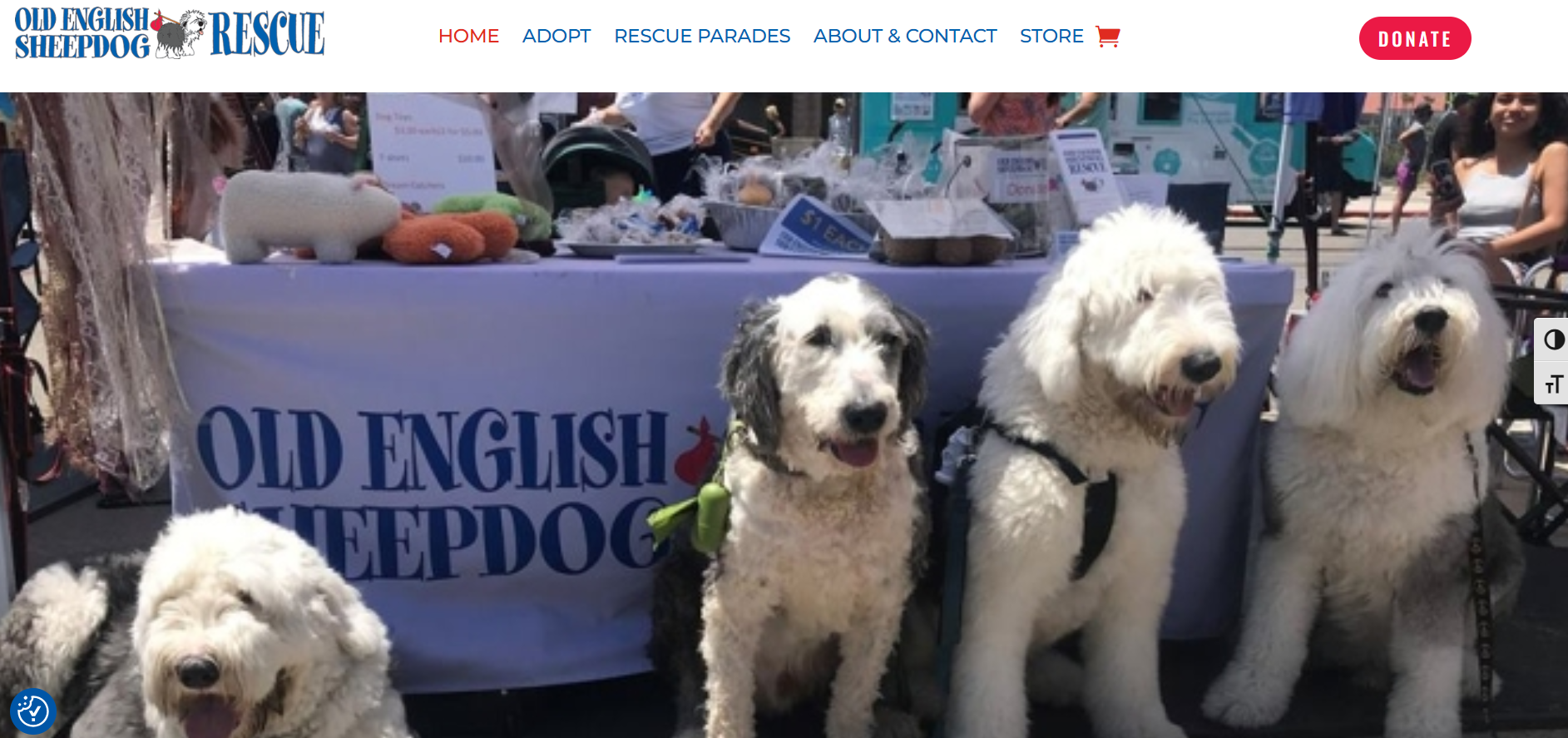 Dog rescue website design Venice CA